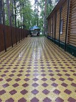 Клевер краковский мал. (+половинки)